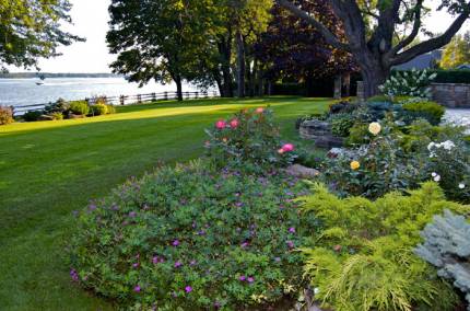Greenteam landscaping lawn care Greenteam landscaping
