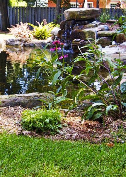 Greenteam landscaping gardening Greenteam landscaping