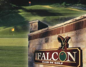 The Falcon Golf Club