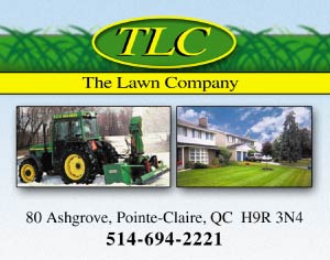 TLC Services