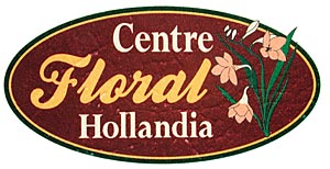 Centre Floral Hollandia