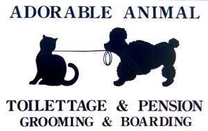 Adorable Animal
