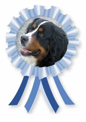 Toilettage Coquetterie Canine
