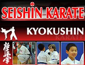 Seishin Kyokushin Karate