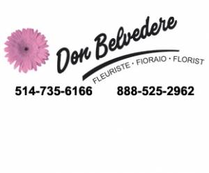 FLEURISTE DON BELVEDERE