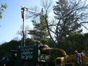 Kelly Tree Service