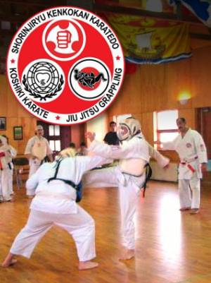 Karate and Jiu-jitsu Club West Island