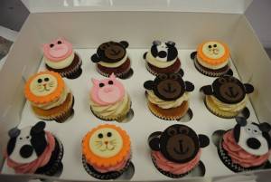 animal cupcakes