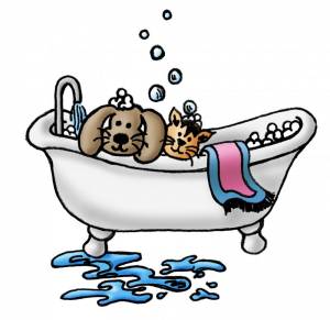 Le Bain d'Animaux