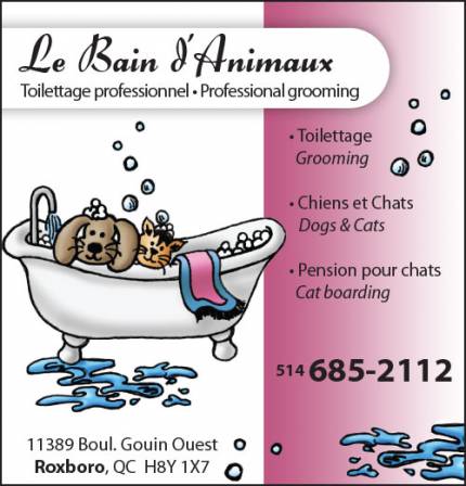 Bain d'Animaux Bain d'Animaux pet grooming